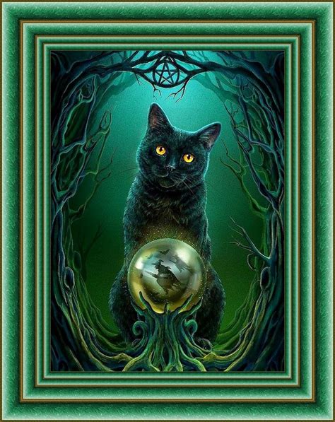 Wiccan cat tarot
